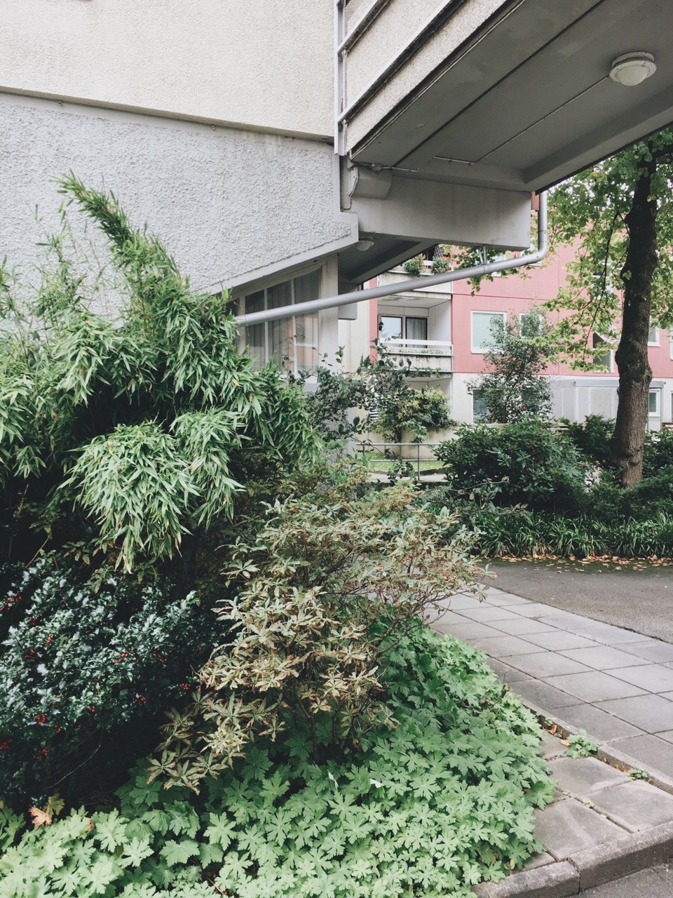 Archillect ID 389015