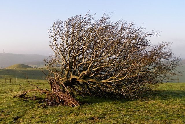 Archillect ID 389085