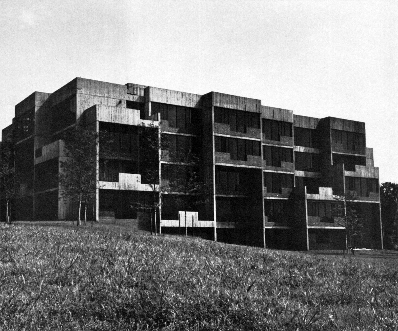 Archillect ID 389173