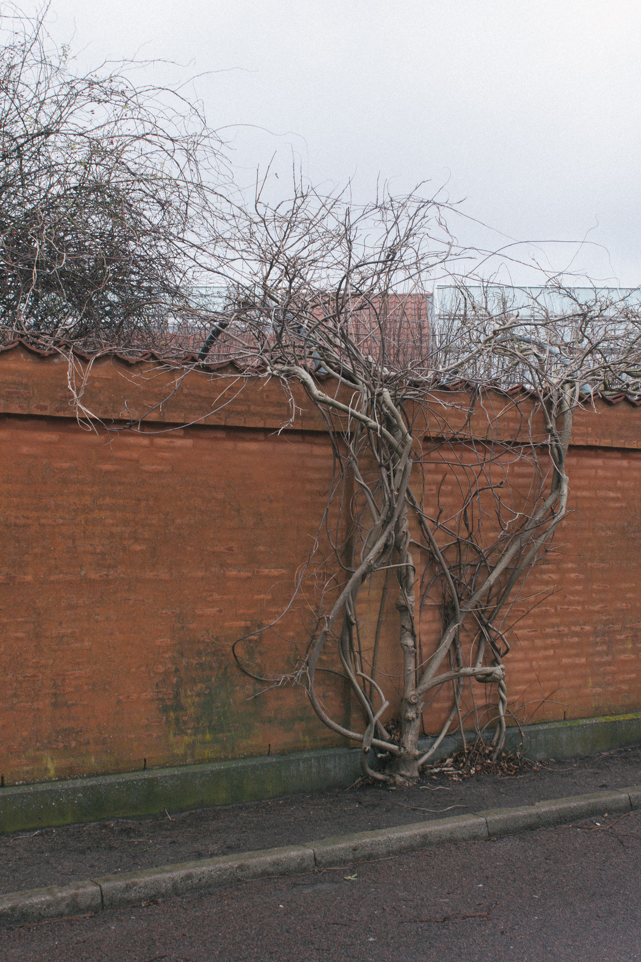 Archillect ID 389207