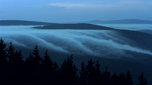 Archillect ID 389215