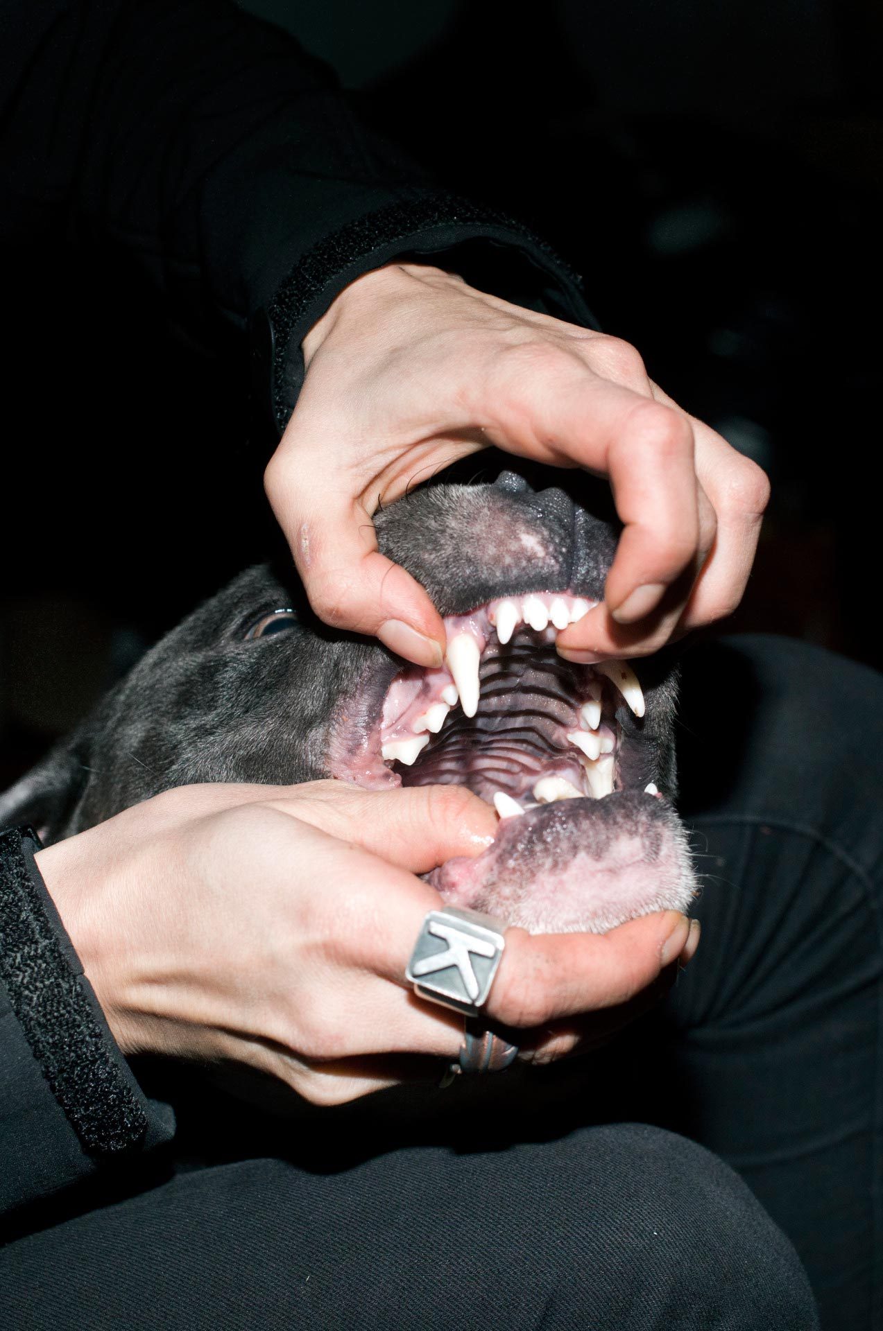 Archillect ID 389275