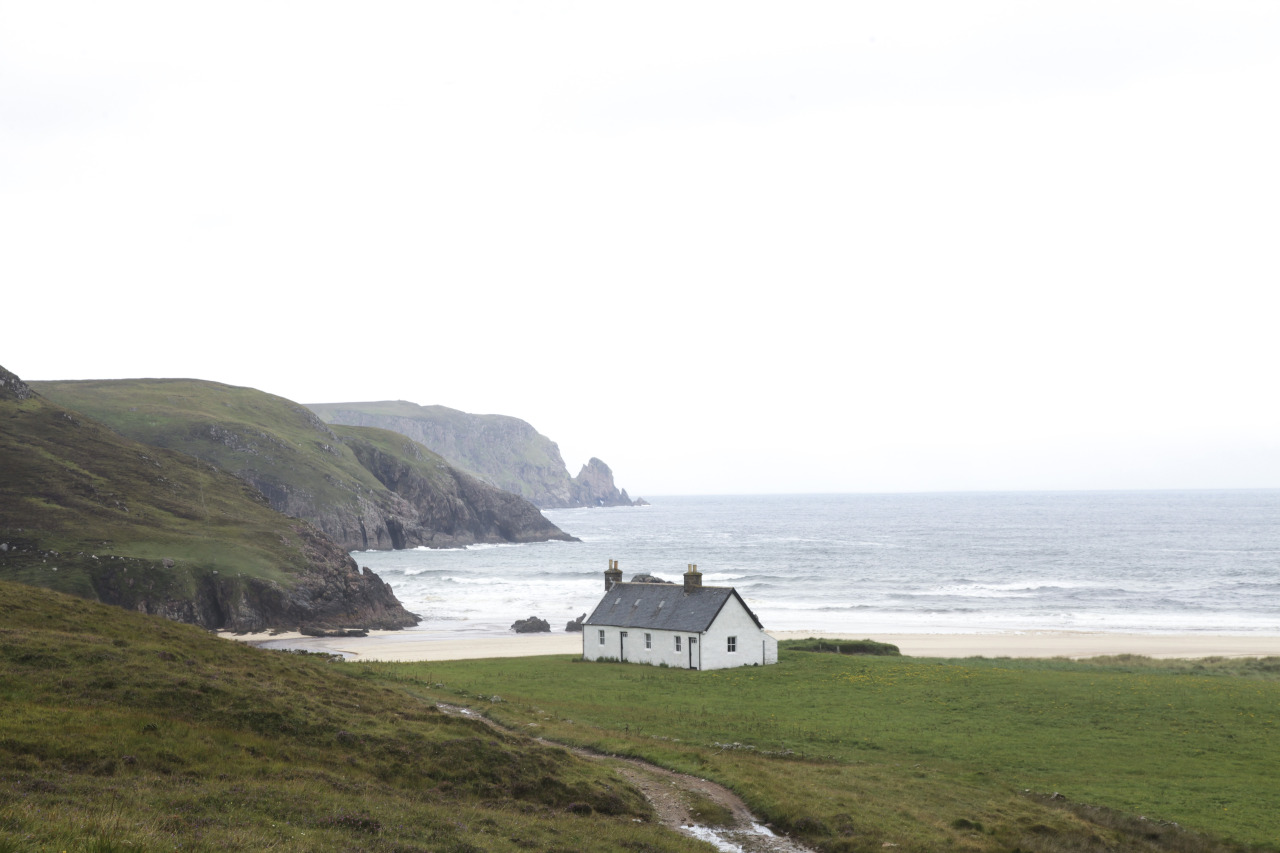 Archillect ID 389287