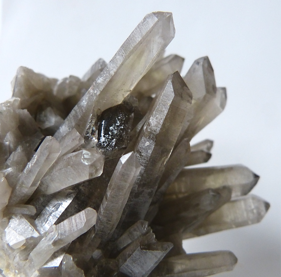 Archillect ID 389355