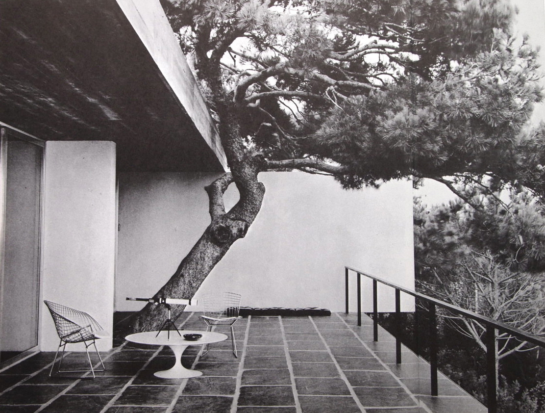 Archillect ID 389384