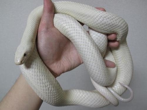 Archillect ID 389400