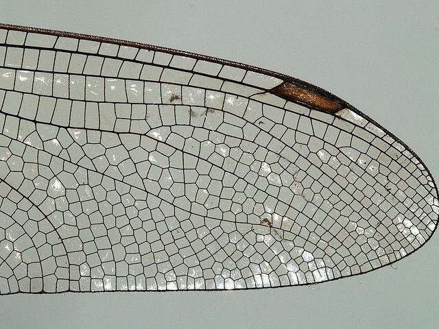 Archillect ID 389436