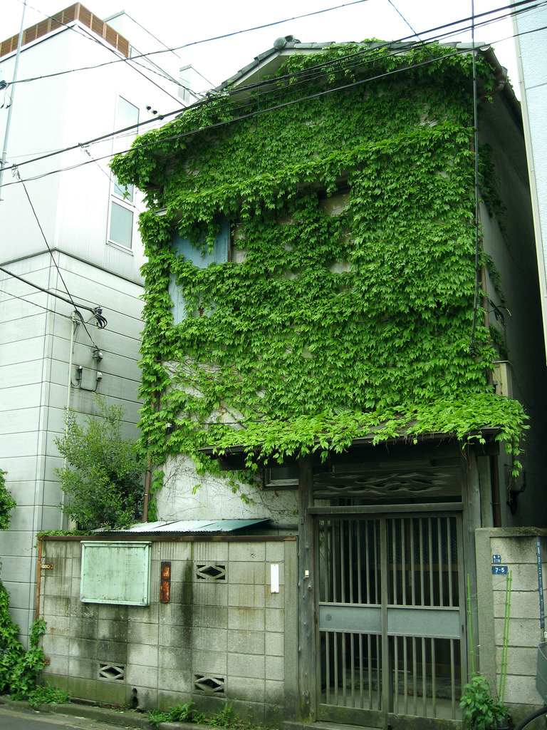 Archillect ID 389441