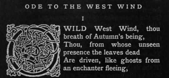 Archillect ID 389551