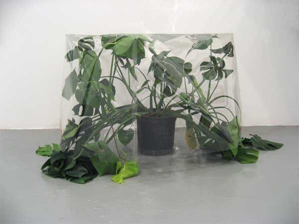 Archillect ID 389610