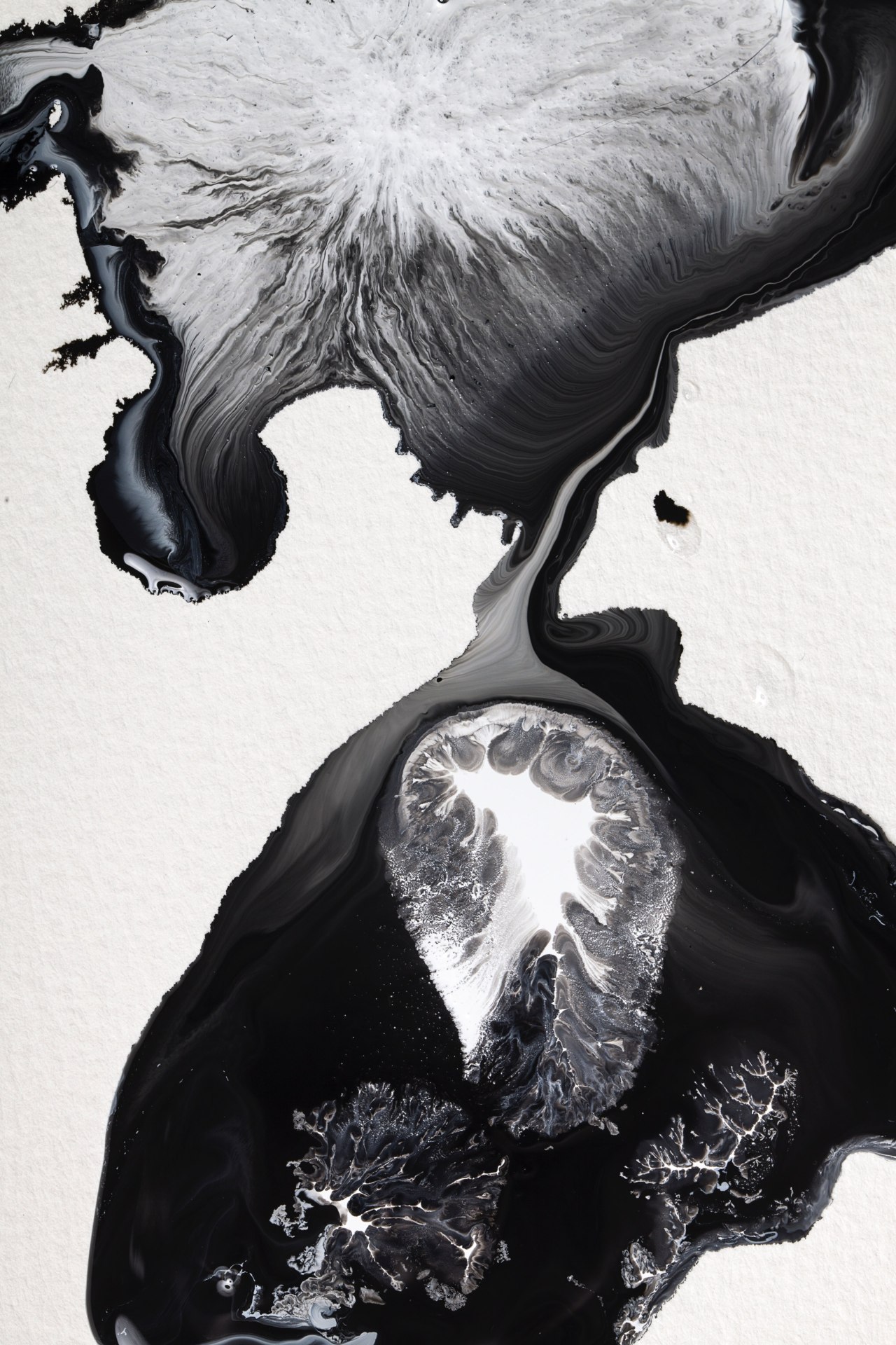 Archillect ID 389621