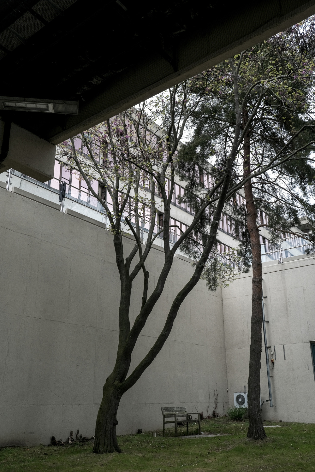 Archillect ID 389794