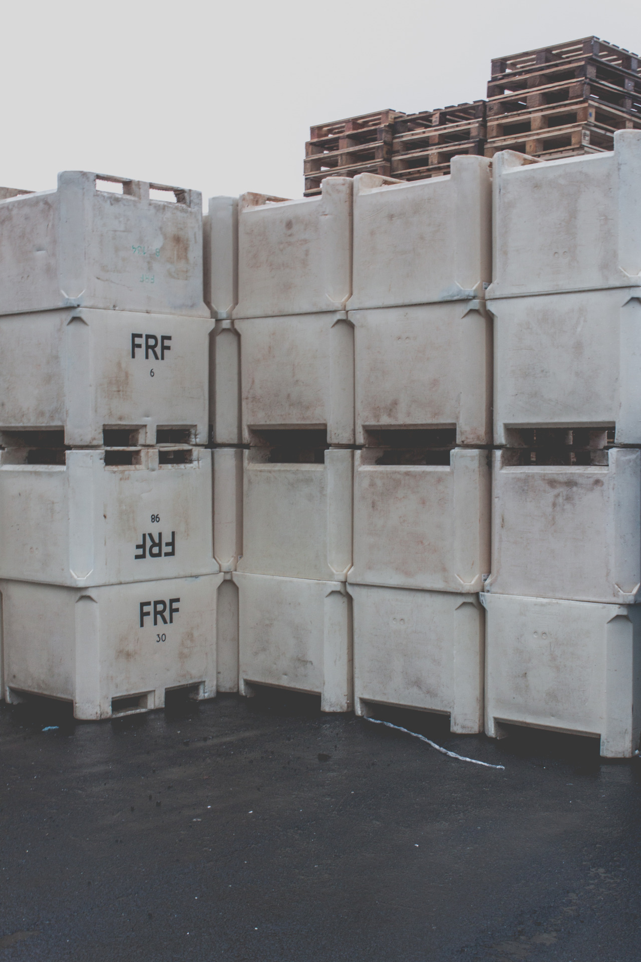 Archillect ID 389800