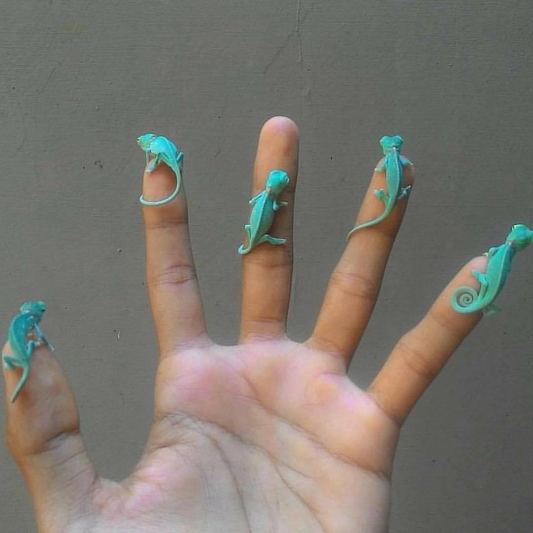 Archillect ID 389817