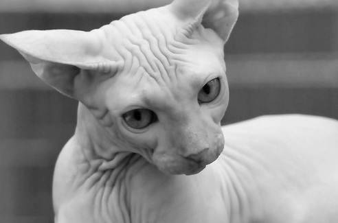 Archillect ID 389833