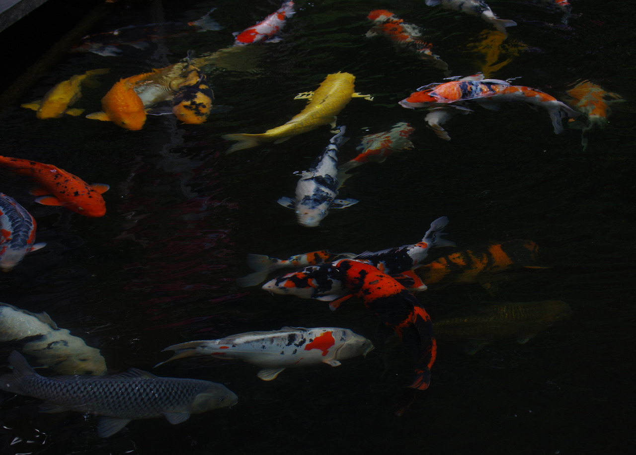 Archillect ID 389861