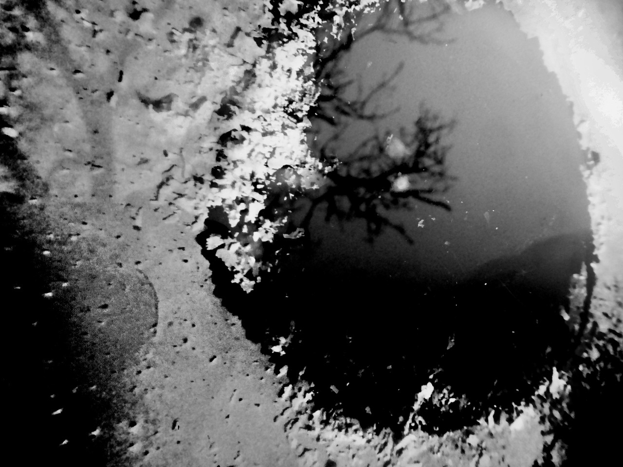 Archillect ID 389895