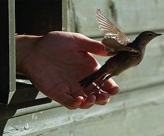 Archillect ID 389932