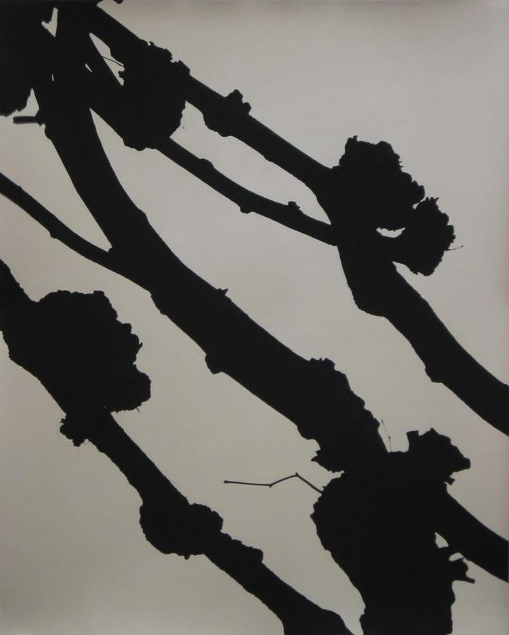 Archillect ID 390012