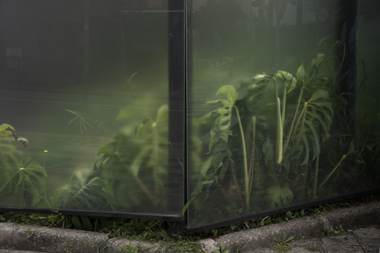 Archillect ID 390046