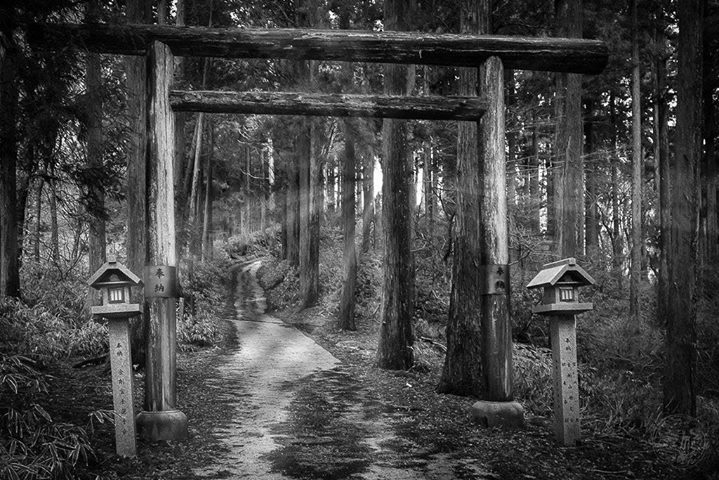 Archillect ID 390066