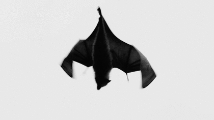 Archillect ID 390105