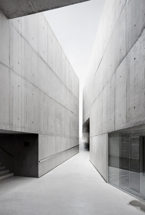 Archillect ID 390119