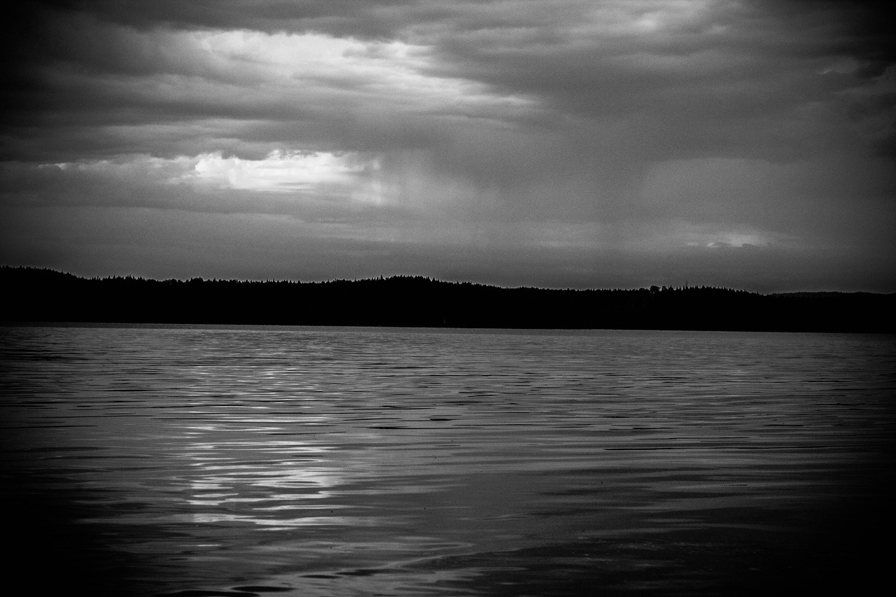 Archillect ID 390159