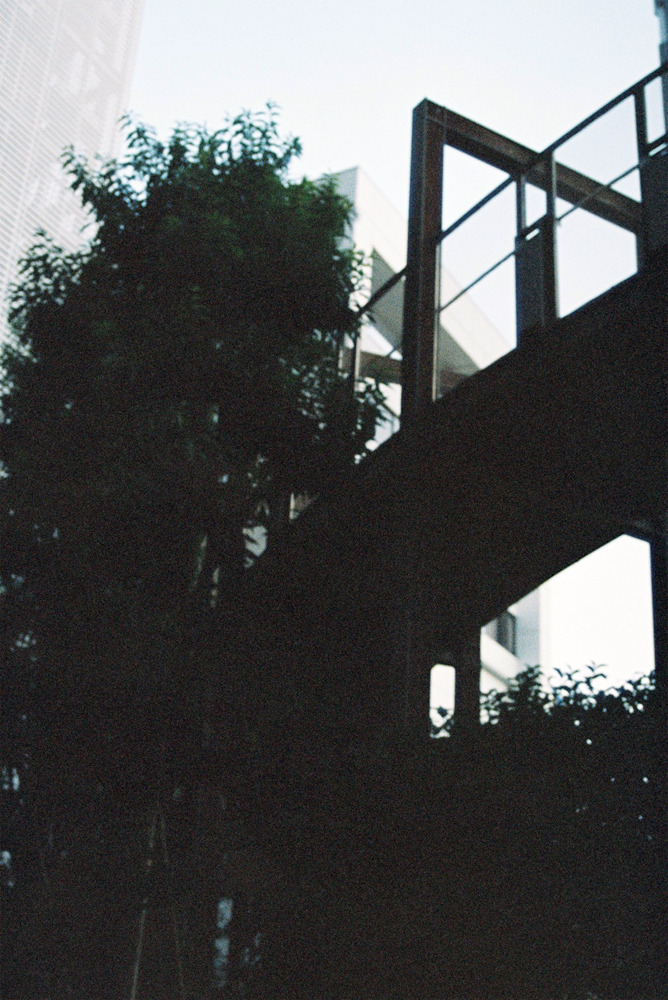 Archillect ID 390165