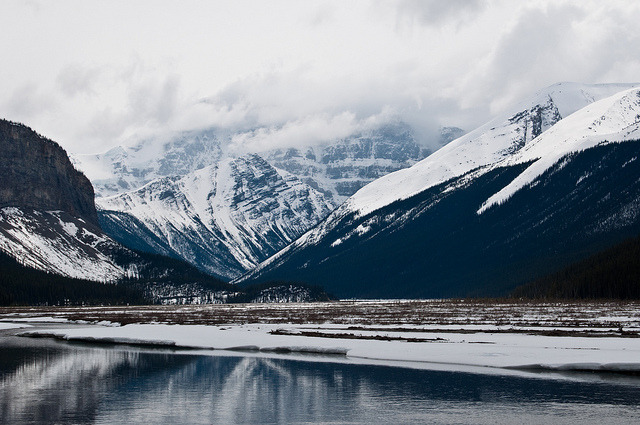 Archillect ID 390213