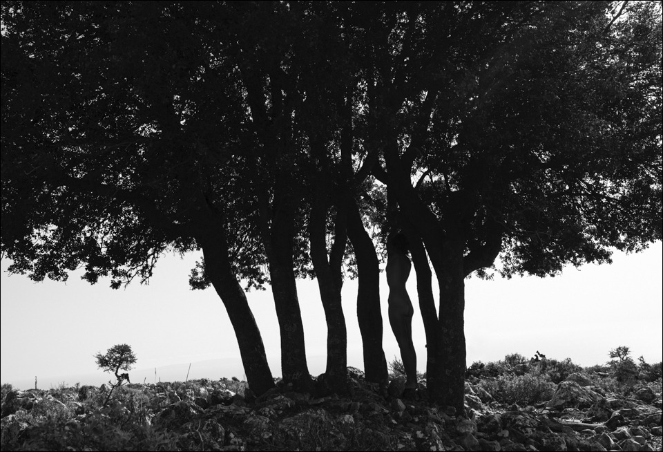 Archillect ID 390214