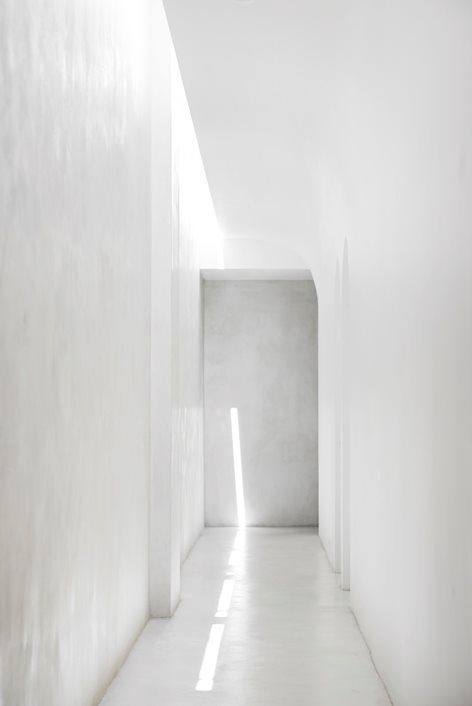 Archillect ID 390215