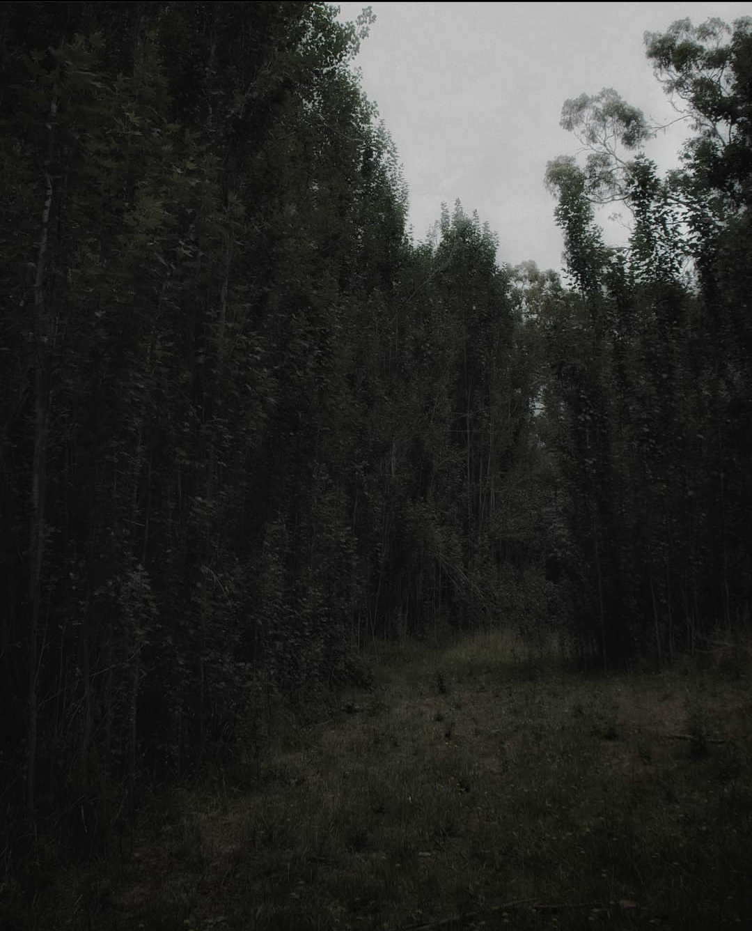 Archillect ID 390216