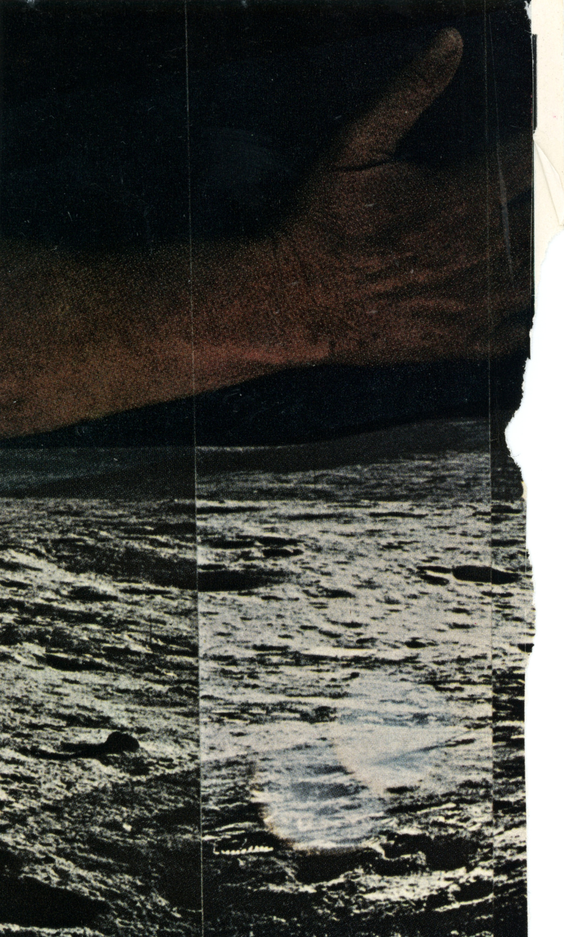 Archillect ID 390222