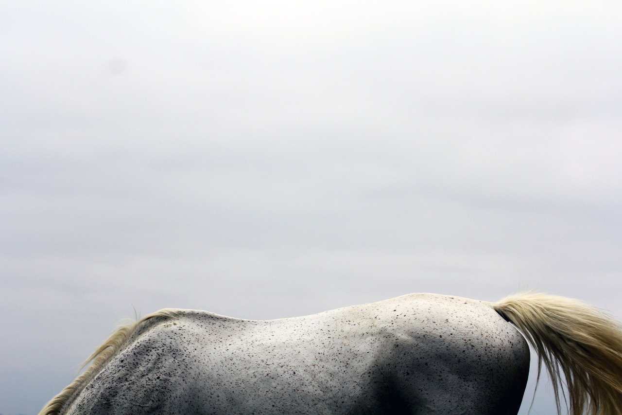 Archillect ID 390248