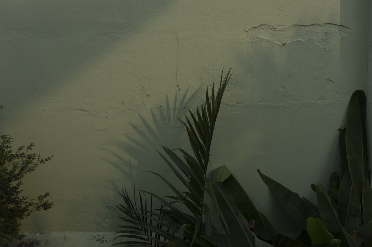 Archillect ID 390251