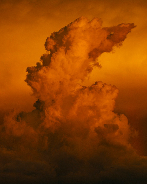 Archillect ID 390272