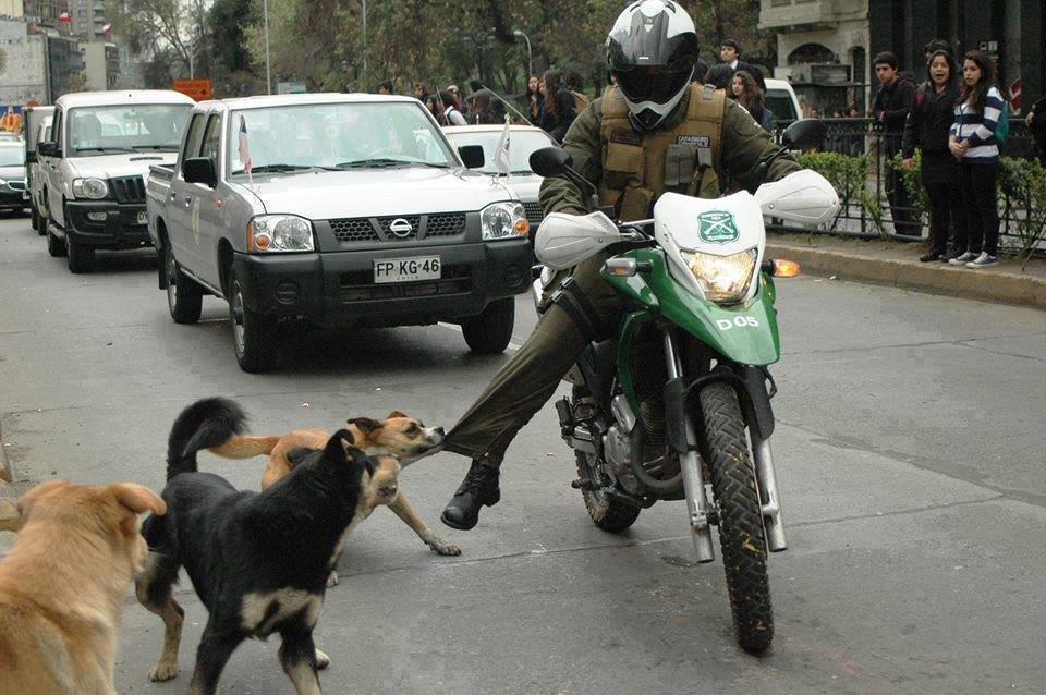 Archillect ID 390284