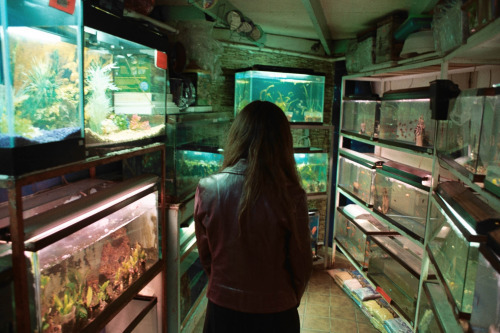 Archillect ID 390286