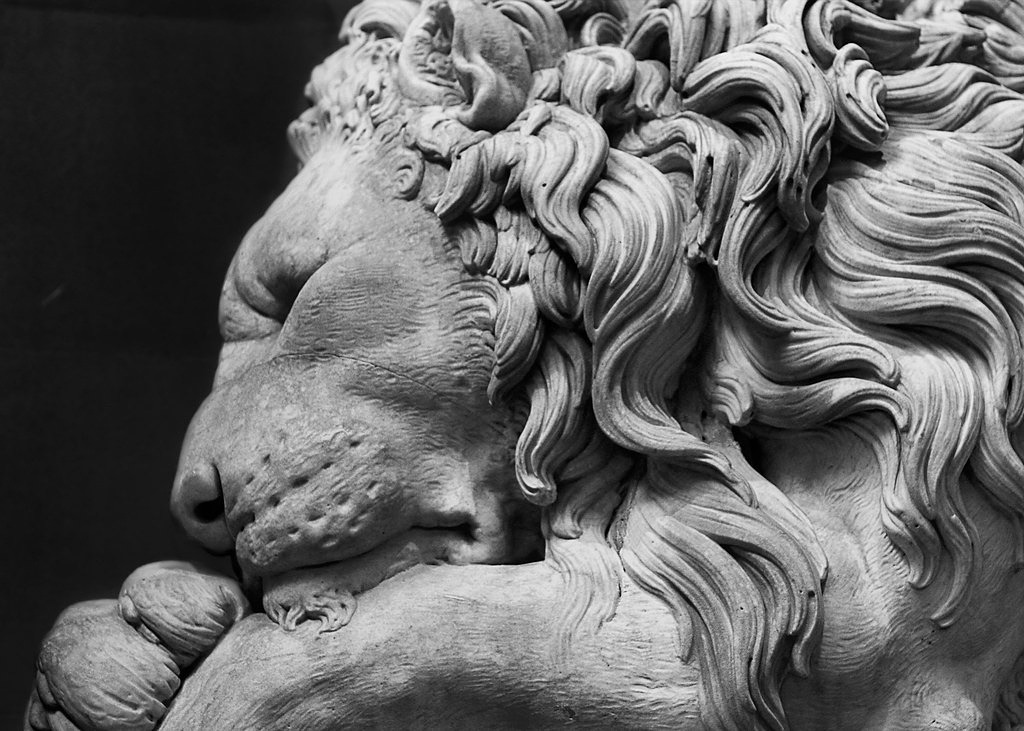 Archillect ID 390358