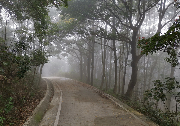 Archillect ID 390365