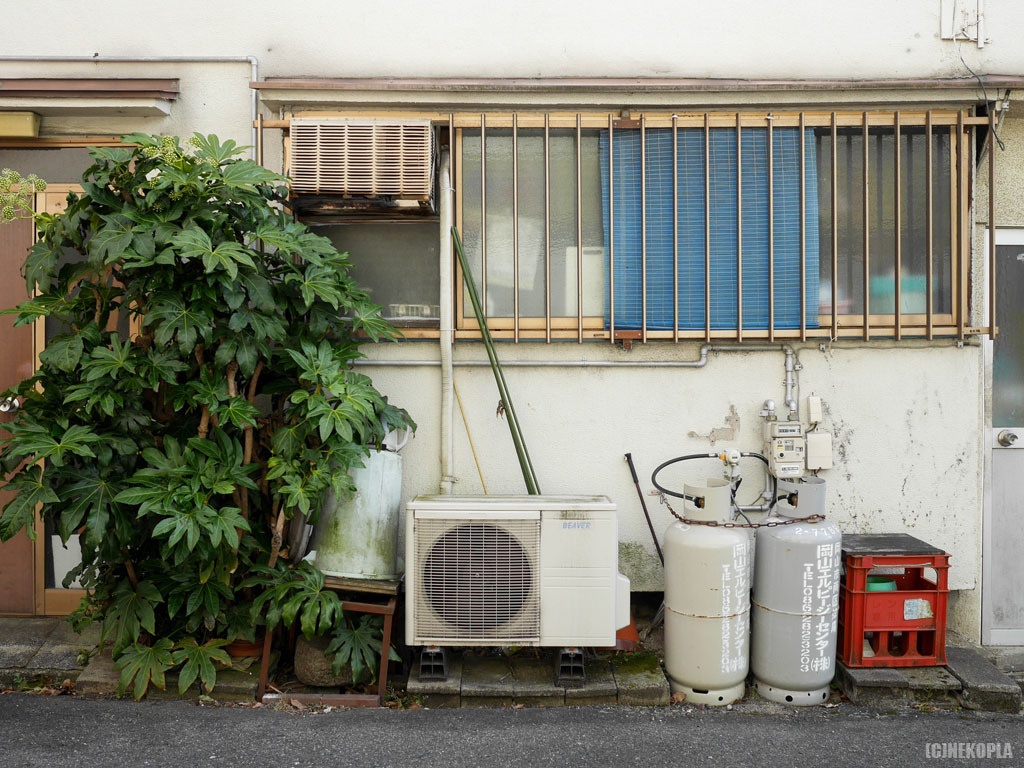 Archillect ID 390393