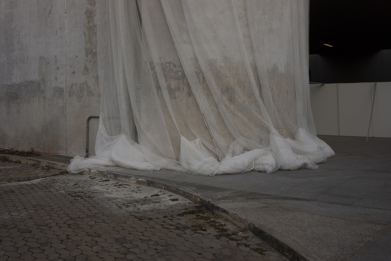 Archillect ID 390404