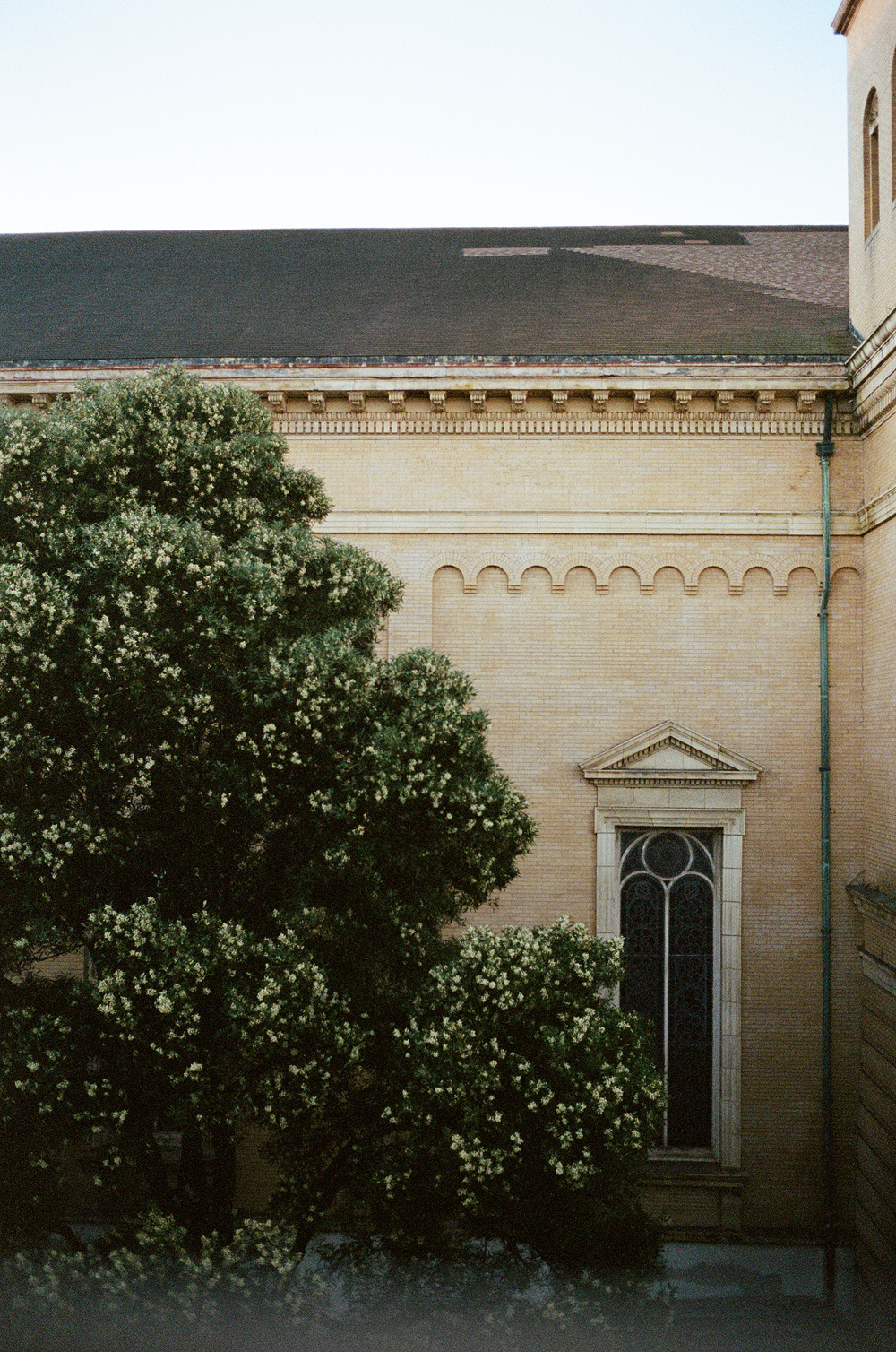 Archillect ID 390450