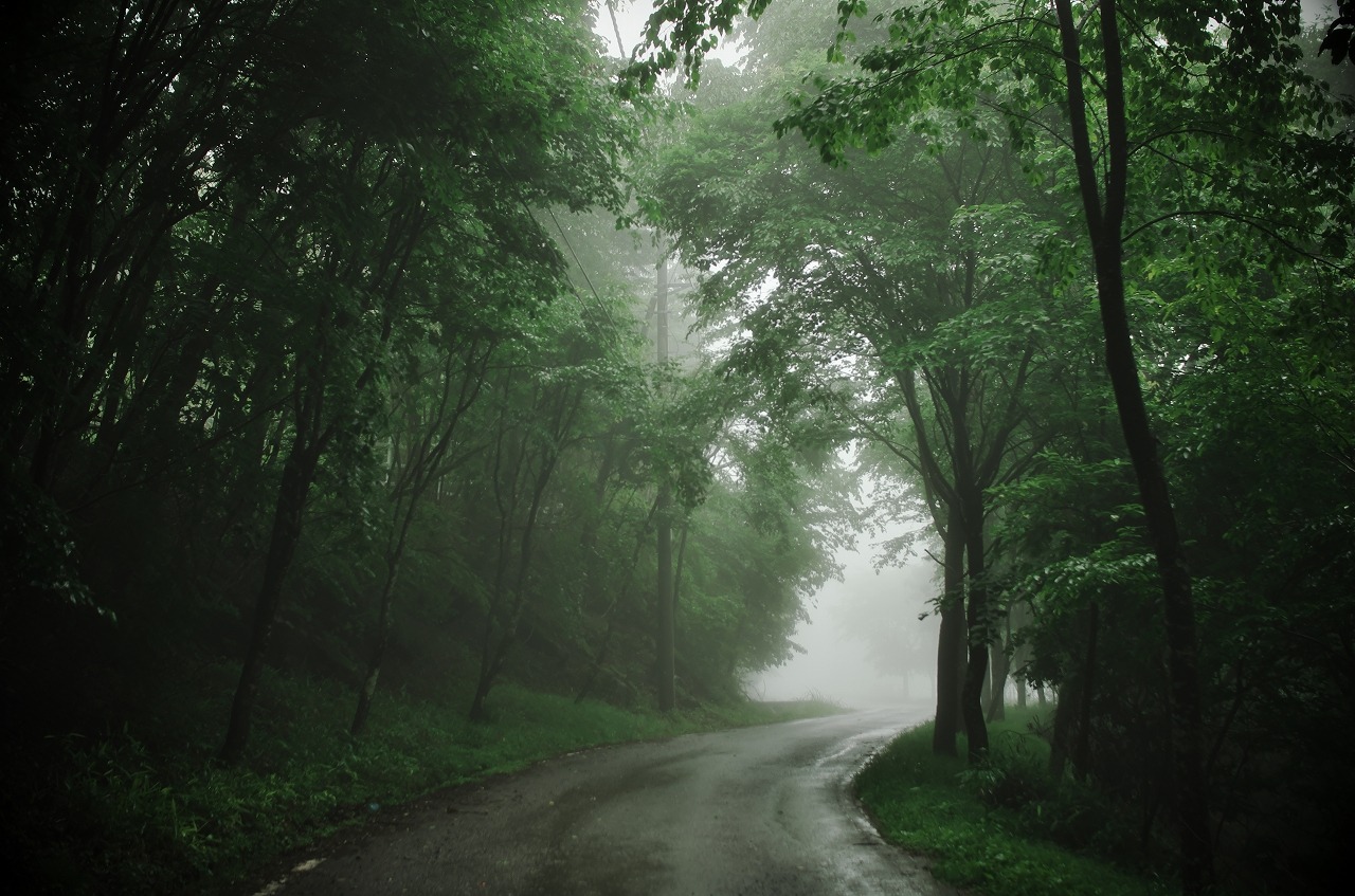 Archillect ID 390466