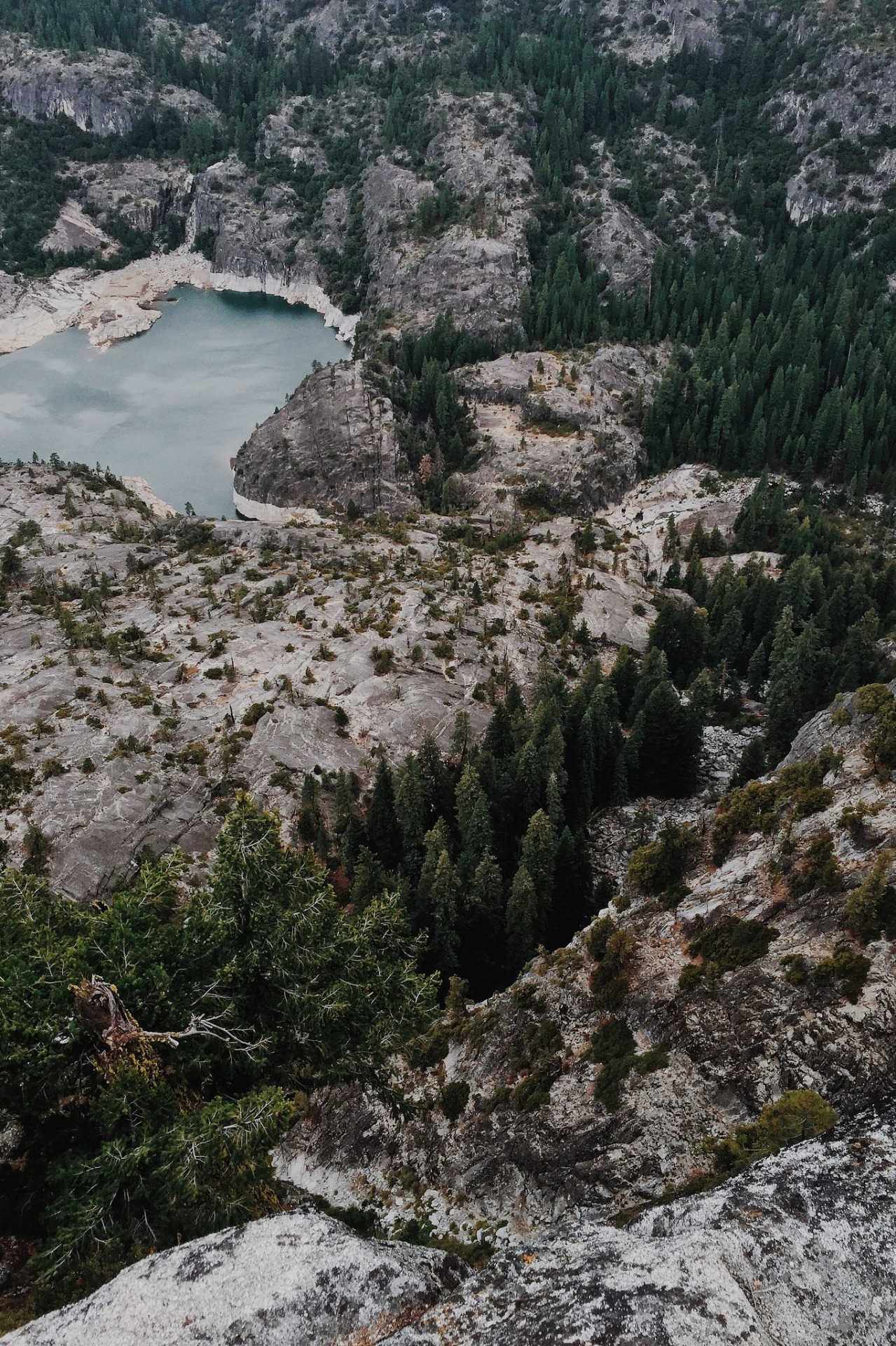 Archillect ID 390474