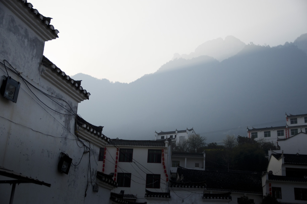 Archillect ID 390548