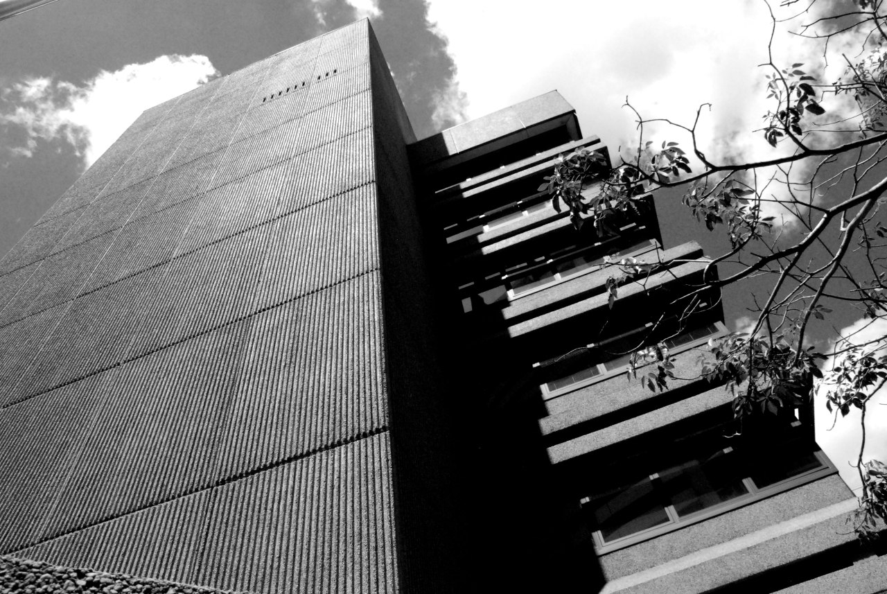 Archillect ID 390561