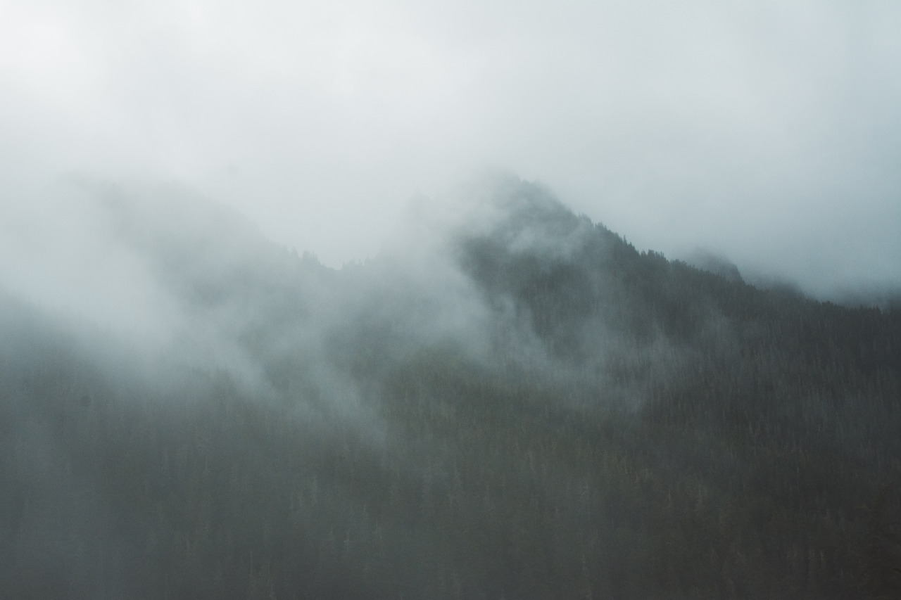 Archillect ID 390607