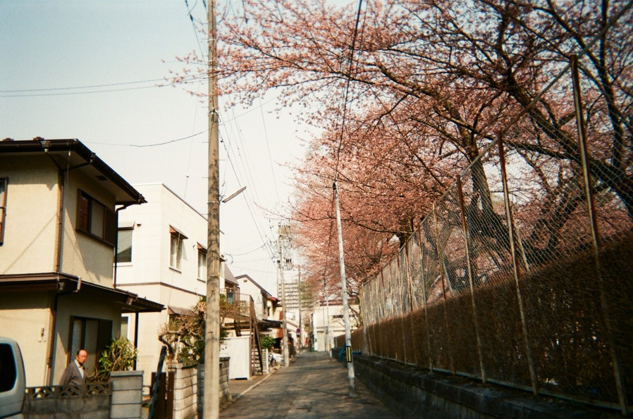 Archillect ID 390617